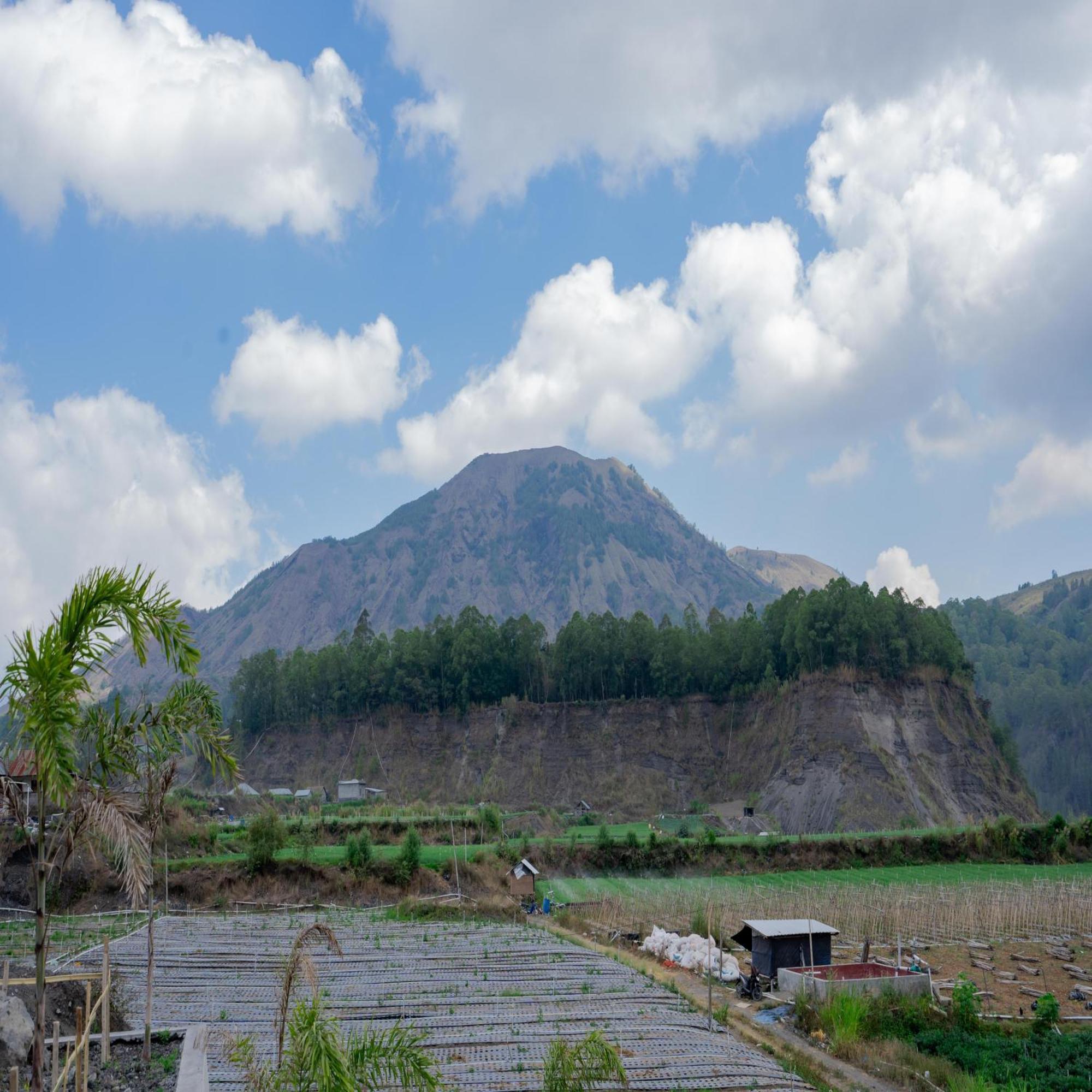 Batur Kencana Villa Mitra Reddoorz Baturaja  Esterno foto